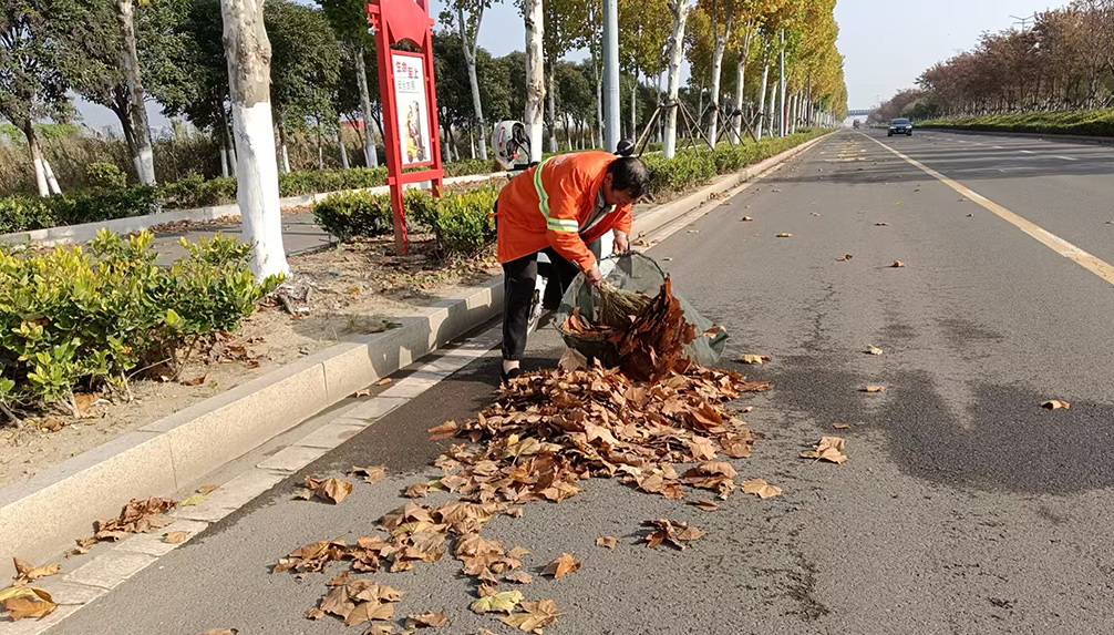 efae866bea6550245a9a4781a03a1ca7